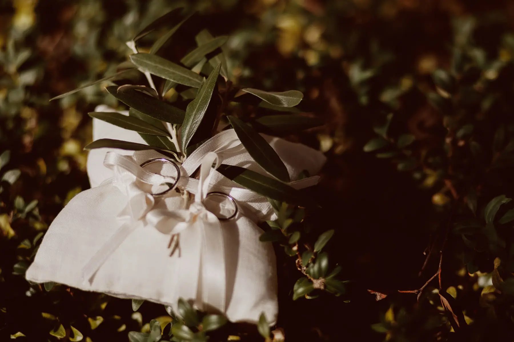 Nel Chianti per un matrimonio ebraico a Fattoria Rignana - Scatto n. 17