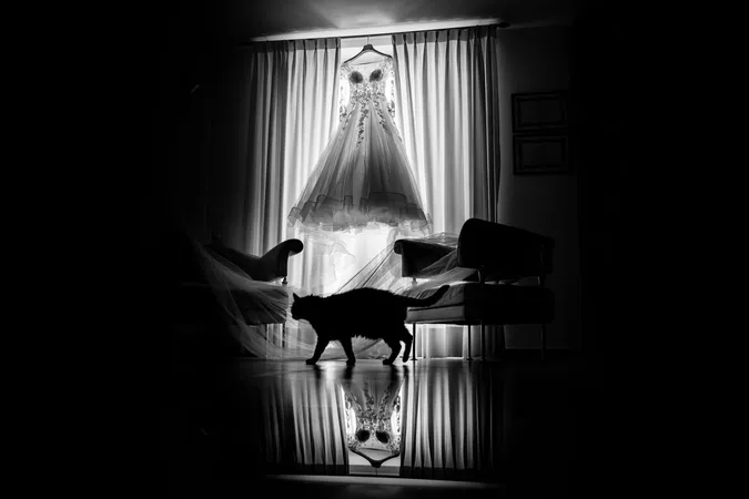 
	abito sposa
