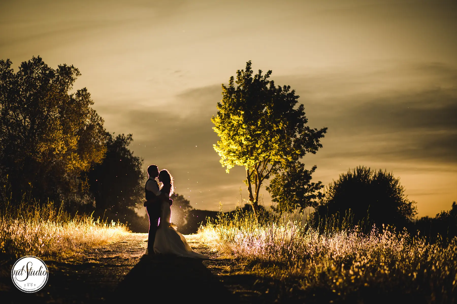 Silhouette degli sposi al tramonto lungo una strada di campagna
